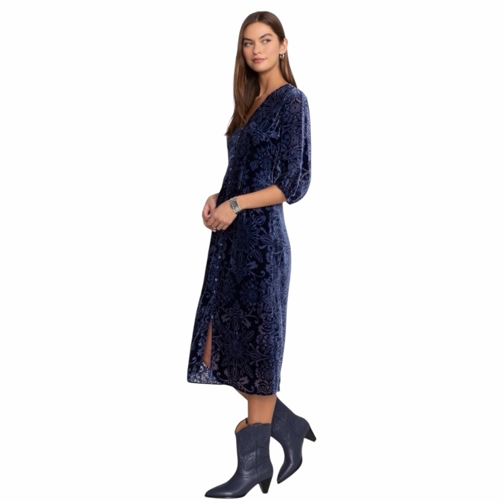 Johnny Was JADE Ryan Silk Velvet Burnout Midi Dress Bohemian Whimsigoth Floral - Picture 2 of 14